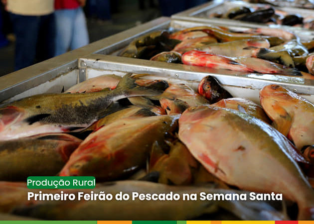 Primeiro Feirão do Pescado na Semana Santa